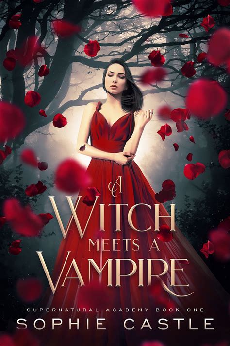Witch and vampire book